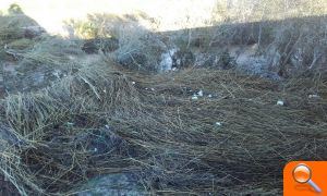L'Ajuntament demana col·laboració a la Confederació Hidrogràfica del Xúquer per a netejar les restes de les pluges - (foto 2)