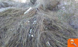 L'Ajuntament demana col·laboració a la Confederació Hidrogràfica del Xúquer per a netejar les restes de les pluges - (foto 3)