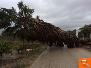 L'Ajuntament sol·licita la declaració de zona greument afectada per emergència de protecció civil - (foto 2)
