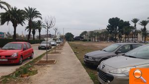 Alzira augmenta la quantitat de plantes, flors i arbres pels parcs, jardins i carrers de la ciutat