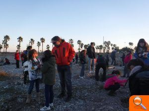 Borriana planta en l'Arenal els arbres de Nadal exposats en els comerços locals - (foto 2)