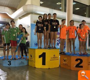 El Natació i Esports Gandia, compite en el II Trofeo Ciudad de la Nucia - (foto 2)