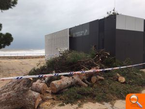 Alcalà-Alcossebre sol·licitarà ajuda urgent per pal·liar els danys a la costa pel temporal - (foto 2)
