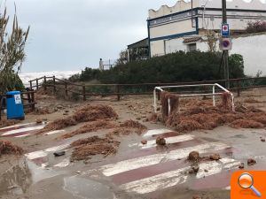 Alcalà-Alcossebre sol·licitarà ajuda urgent per pal·liar els danys a la costa pel temporal - (foto 3)