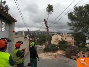 Continúan los trabajos de mantenimiento en las zonas verdes