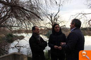 Els aiguamolls, un xicotet museu de la nostra flora i fauna  - (foto 2)