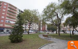 Finalitzen els treballs d'arbrat a la plaça del Jardinet - (foto 2)