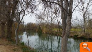 Borriana reforçarà el Clot de la Mare de Déu amb 655 plantons - (foto 2)