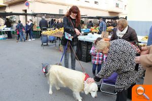 Nules pren mesures en la zona del mercat per a minimitzar les molesties als veïns - (foto 2) Nules pren mesures en la zona del mercat per a minimitzar les molesties als veïns - (foto 2)