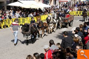 Bendición de animales de sant Antoni - (foto 2) Bendición de animales de sant Antoni - (foto 2)