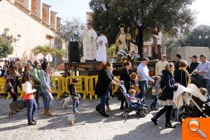 Bendición de animales de sant Antoni - (foto 3) Bendición de animales de sant Antoni - (foto 3)