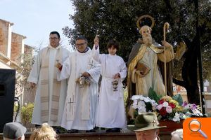 Bendición de animales de sant Antoni - (foto 7) Bendición de animales de sant Antoni - (foto 7)