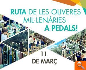 Turisme sobre rodes a Canet lo Roig - (foto 2)