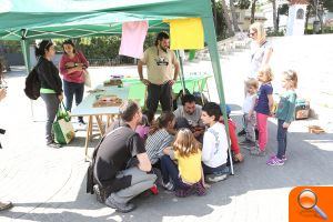 L'Horta de Godella, escenari d'una ruta ornitològica - (foto 4)
