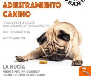 Encuentro de adiestramiento canino este domingo en la Ciutat Esportiva