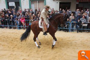 Este cap de setmana els torrentins beneiran els seus animals per la festivitat de Sant Antoni Abat