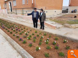 Alzira adequa i millora l'entorn de la plaça de la Ribera