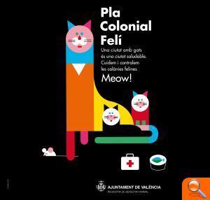 Bienestar Animal pone en marcha la segunda campaña de esterilización felina - (foto 2)