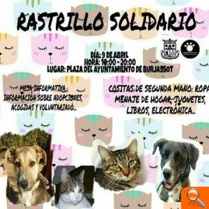 Nuevo rastrillo solidario de la Protectora de Animales de Burjassot