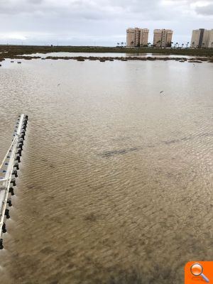 La Mancomunidad y la Concejalía de Sanidad fumigan el saladar de Agua Amarga contra el mosquito común - (foto 2) La Mancomunidad y la Concejalía de Sanidad fumigan el saladar de Agua Amarga contra el mosquito común - (foto 2)