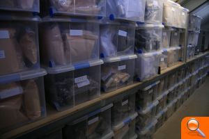 El servici de Devesa-Albufera arreplega més de 46 milions de llavors de diferents espècies - (foto 2)