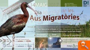 Dénia organiza una jornada de actividades gratuitas para celebrar el Día Mundial de las Aves Migratorias Dénia organiza una jornada de actividades gratuitas para celebrar el Día Mundial de las Aves Migratorias