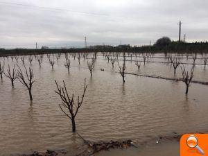 El Consell Municipal Agrari d’Alzira tractarà la negativa del Ministeri de rebaixa fiscal