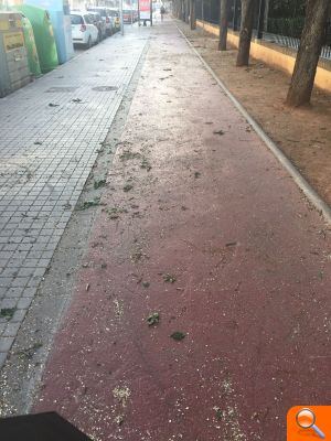 El PP asegura que la ‘dejadez’ de funciones del edil de Urbanismo y del ‘pacto del gasto’ conlleva un municipio sucio y paralizado - (foto 2) El PP asegura que la ‘dejadez’ de funciones del edil de Urbanismo y del ‘pacto del gasto’ conlleva un municipio sucio y paralizado - (foto 2)