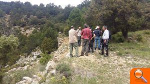 El Consell trabaja con el Ministerio, Aragón y Catalunya para devolver el quebrantahuesos a Castellón - (foto 2)