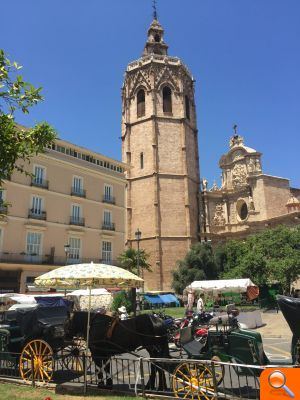 Som Valencians insta a la Conselleria de Bienestar Animal a proteger a los caballos que tiran de las calesas de la Plaza de la Reina  - (foto 2)