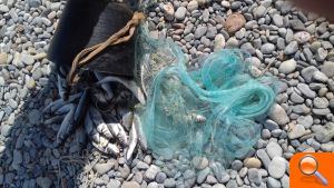 La Guardería del Consorcio río Mijares recuerda la prohibición de pescar con esparavel o rall en la desembocadura - (foto 3)