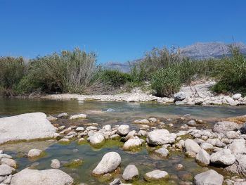 El TSJ falla a favor del Ayuntamiento en el contencioso del PAI del Río Algar