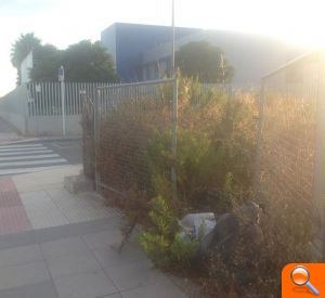 El PP denuncia acumulació de brosses en parcel·les urbanes del municipi - (foto 2) El PP denuncia acumulació de brosses en parcel·les urbanes del municipi - (foto 2)