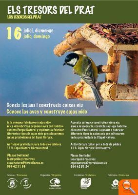 Torreblanca ofereix un Taller d'aus i construcció de caixes niu en l'Espai Natura - (foto 2)