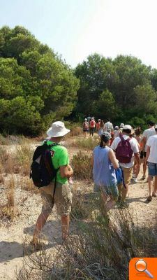 40 persones descobrixen com la platja és l’hàbitat triat per aus en perill d’extinció - (foto 2) 40 persones descobrixen com la platja és l’hàbitat triat per aus en perill d’extinció - (foto 2)