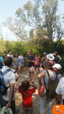 40 persones descobrixen com la platja és l’hàbitat triat per aus en perill d’extinció - (foto 3) 40 persones descobrixen com la platja és l’hàbitat triat per aus en perill d’extinció - (foto 3)