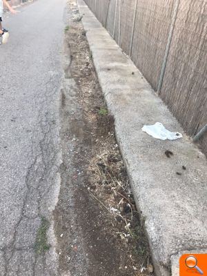 Solá: "El tripartit manté l'abandó del Grau" - (foto 3)