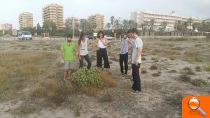 L’ajuntament incorpora 55 operaris per a cuidar la Devesa  - (foto 3)