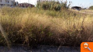 El PP anima al tripartito a salir del despacho  - (foto 2)