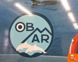 Medio Ambiente organiza una jornada de limpieza marina con voluntariado el 15 de octubre - (foto 2)