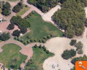 Els pins del parc de l’Alquenència rebran un tractament silvícola - (foto 2)