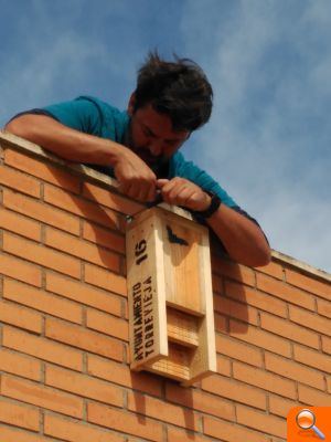 El programa de conservación de murciélagos sigue ampliándose y obteniendo resultados positivos - (foto 4) El programa de conservación de murciélagos sigue ampliándose y obteniendo resultados positivos - (foto 4)