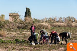 El Clot rebrota amb la plantació de 250 arbres - (foto 7)