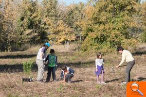 El Clot rebrota amb la plantació de 250 arbres - (foto 6)