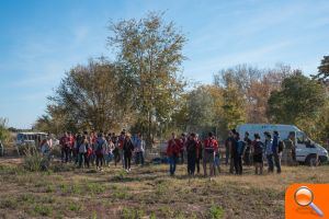 El Clot rebrota amb la plantació de 250 arbres - (foto 5)
