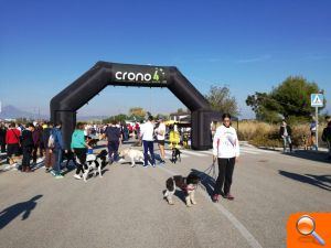 Més d’un centenar de participants en la IV cursa Mascota Running - (foto 3)