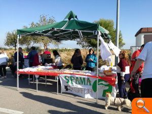 Més d’un centenar de participants en la IV cursa Mascota Running - (foto 5)