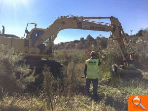 Càrcer inicia la recuperación del cauce del río Sellent con la instalación de especies protegidas