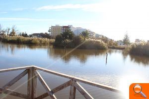 Nules promociona els encants de la marjal amb un llibret divulgatiu - (foto 2)