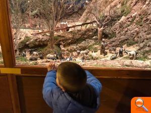 Gran éxito de los actos navideños en Elche - (foto 4) Gran éxito de los actos navideños en Elche - (foto 4)